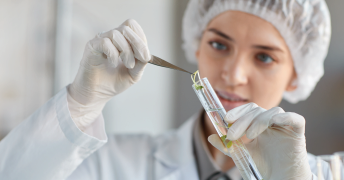 Técnicas de biotecnologia para cosméticos